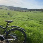 Eifelstuben Mit Charme - Bauernstube Vulkaneifel - Naehe Und Burgruine * Ulmen