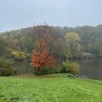 Eifelstuben Mit Charme - Bauernstube Vulkaneifel - Naehe Und Burgruine Holiday home Ulmen