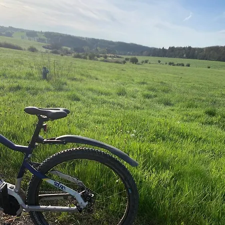 Eifelstuben Mit Charme - Bauernstube Vulkaneifel - Naehe Und Burgruine * אולמן