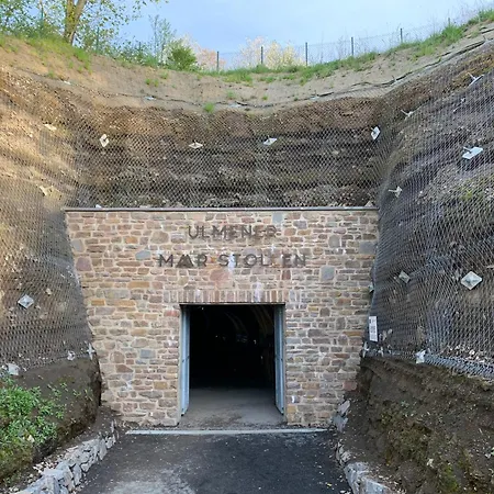 Eifelstuben Mit Charme - Bauernstube Vulkaneifel - Naehe Und Burgruine 펜션