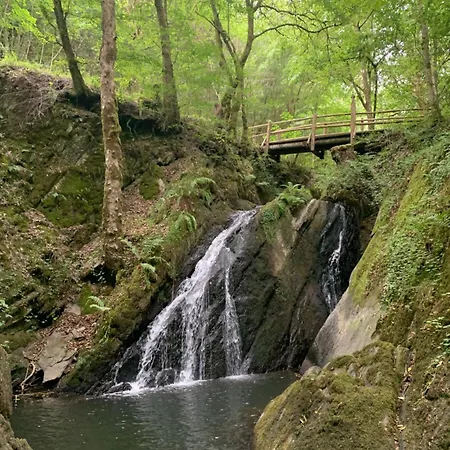 Eifelstuben Mit Charme - Bauernstube Vulkaneifel - Naehe Und Burgruine * 우멘