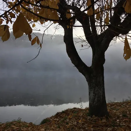 Σπίτι διακοπών Eifelstuben Mit Charme - Bauernstube Vulkaneifel - Naehe Und Burgruine *