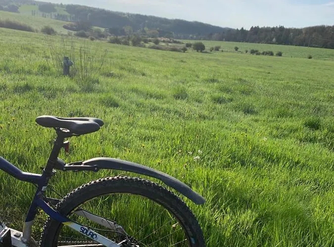 Eifelstuben Mit Charme - Bauernstube Vulkaneifel - Naehe Und Burgruine * Ulmen