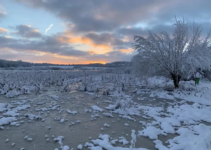 Prázdninový dům Eifelstuben Mit Charme - Bauernstube Vulkaneifel - Naehe Und Burgruine Ulmen