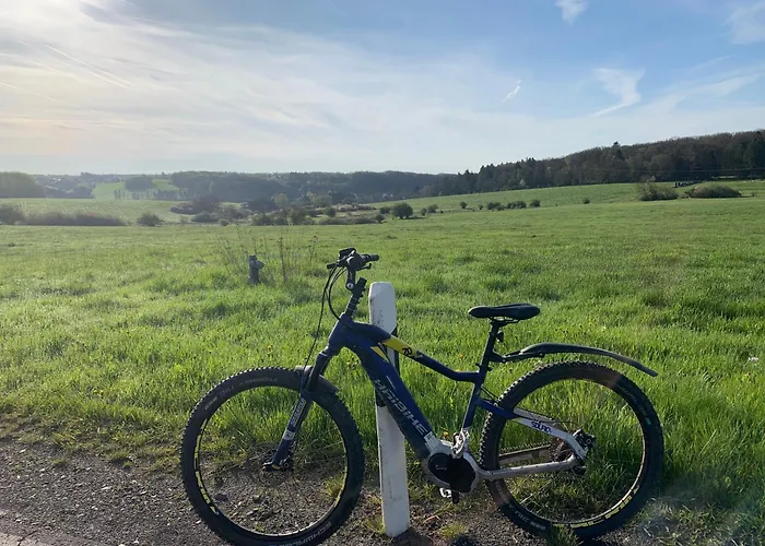 Eifelstuben Mit Charme - Bauernstube Vulkaneifel - Naehe Und Burgruine * Ulmen